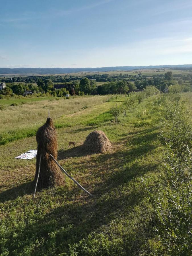 Pensiunea Agroturistica Casa Sirca Boghiş Zewnętrze zdjęcie
