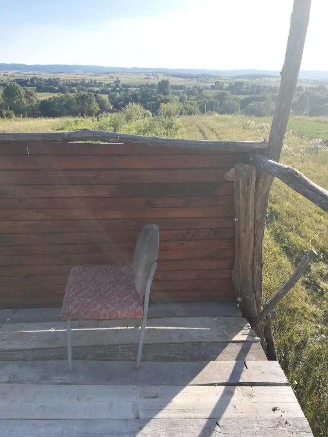 Pensiunea Agroturistica Casa Sirca Boghiş Zewnętrze zdjęcie
