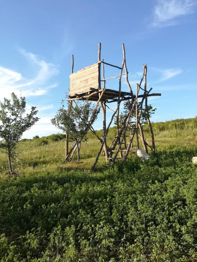 Pensiunea Agroturistica Casa Sirca Boghiş Zewnętrze zdjęcie