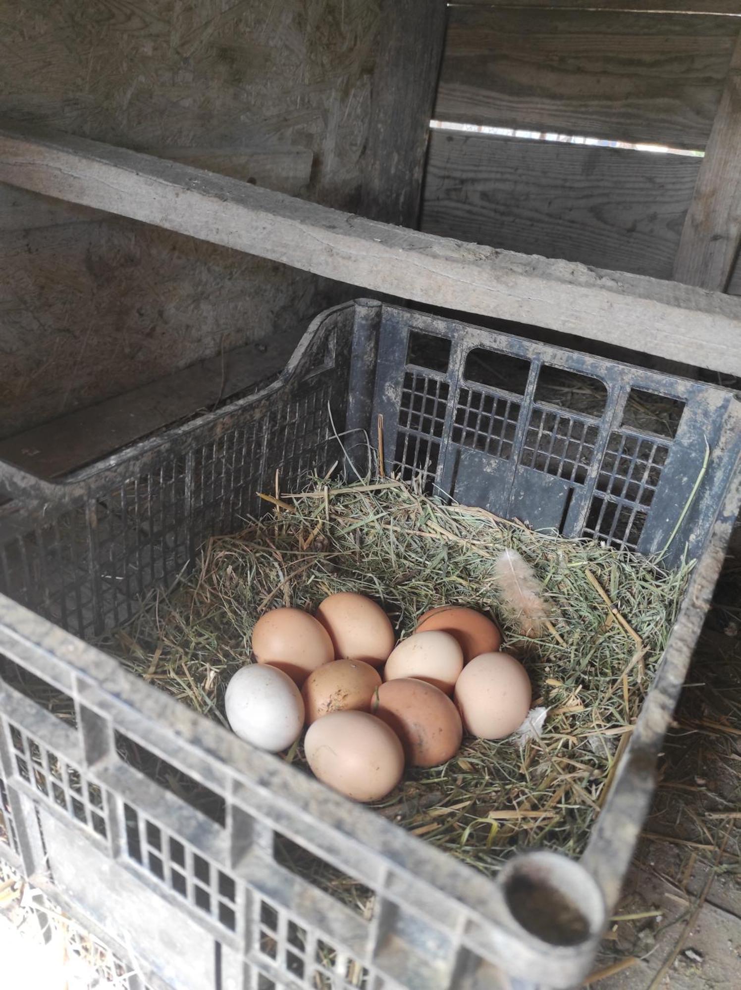 Pensiunea Agroturistica Casa Sirca Boghiş Zewnętrze zdjęcie