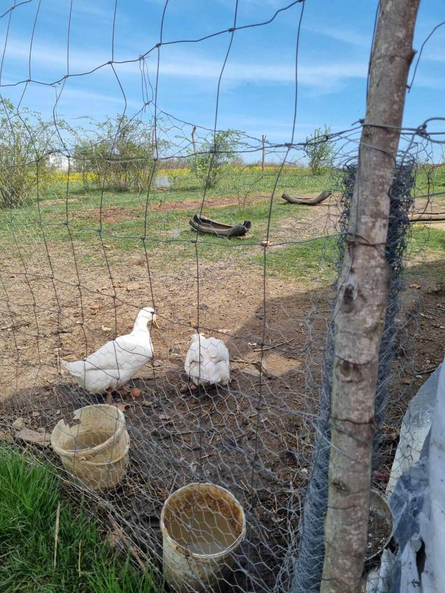 Pensiunea Agroturistica Casa Sirca Boghiş Zewnętrze zdjęcie